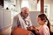 © Vorda Berge - Adorable little girl painting dollhouse with grandfather at home