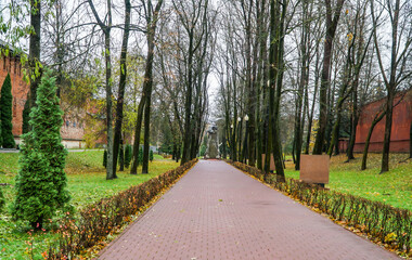 Wall Mural - path in the park