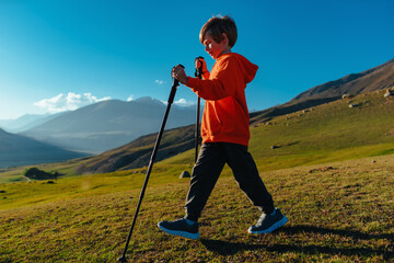 Sticker - Boy hiker with trekking poles walking in the mountains