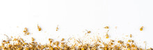 Dried Camomile Flowers On White Table With Copyspace