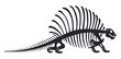 Cartoon dino skeleton. Dinosaur fossil bones silhouette. Ancient Jurassic reptile flat vector illustration on white background