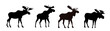  set of moose silhouette - vector illustration