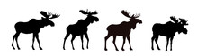  Set Of Moose Silhouette - Vector Illustration