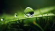 Ein glänzender Wassertropfen reflektiert die grüne Landschaft und steht prächtig auf einem Bett von feuchtem Moos. Tautropfen glitzern wie Juwelen im Morgenlicht - magische Stimmung