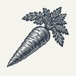 Monochrome Woodcut Vector Illustration of a Carrot.