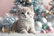 Realistic little cute kitten in Christmas decorations. Christmas winter holiday composition. Generative AI.