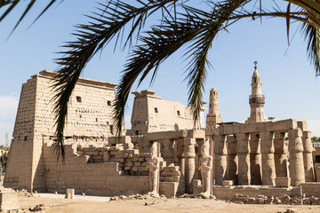 Wall Mural - looking through palm trees towards the ruins of Luxor Temple in Egypt