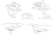 Set with whales, World Whale Day banner or card, doodle style flat vector outline for coloring book