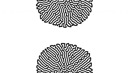 Wall Mural - reaction diffusion organic growing pattern. cell division science background.
