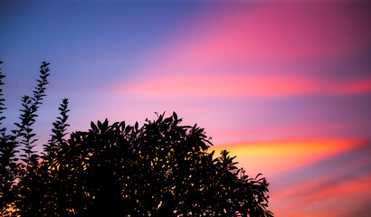 Wall Mural -  Colorful dramatic sky with cloud at sunset. Sky background. Cloudscape.