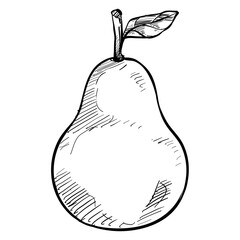 pear handdrawn illustration