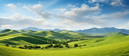 the california scenery was breathtaking with rolling hills and a lush green grass that covered the h