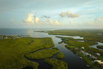 Wall Mural - Aerial view of residential suburbs with private homes located near wildlife wetlands with green vegetation on sea shore. Living close to nature concept