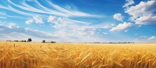 The Golden Wheat Swayed In The Gentle Summer Breeze Against A Backdrop Of Vibrant Blue Skies Creating A Picturesque Landscape Scattered With Fluffy Clouds Painting A Beautiful Circle Of Natu