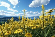 Picture A Scene Where Vibrant Yellow Wildflowers Sway Under The Vast Sky, Adorned With Fluffy Clouds, While A Lush Green Landscape Stretches Out In The Background. Photorealistic Illustration