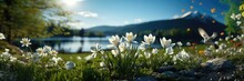 A panoramic view captures white flowers with a bird in flight, featuring a soft focus for depth, while a distant lake and mountains add to the serene backdrop. Photorealistic illustration