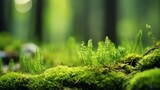 Fototapeta Las - Green moss in a bright forest clearing. Seasonal natur background with bokeh and short depth of field. Close-up with space for text. : Generative AI