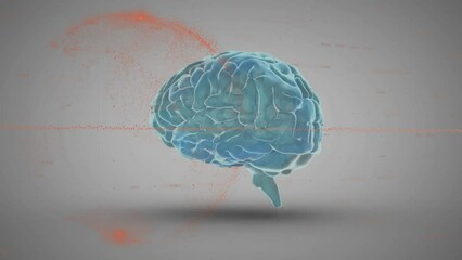 Poster - Animation of graph and globe over rotating human brain against gray background
