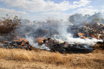 Wall Mural - steppe fires during severe drought completely destroy fields. Disaster causes regular damage to environment and economy of region. The fire threatens residential buildings. Residents extinguish fire