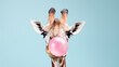 © Tierney - Giraffe blowing bubble gum on pink a background