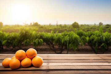 Sticker - Wooden table top ander orange trees covered with orange fruits. Blurred sunny orchard garden at the background.	