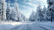 Carretera blanca y nevada entre pinos helados en un dia soleado de invierno sin gente.