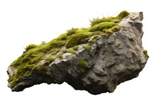 Overgrown Lichen On A Rock. Isolated Object, Transparent Background