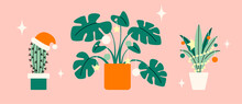 Christmas Vector Card With Cute Houseplants. Modern Hand Drawn Colorful Illustration. Decorated Green Indoor Plants. 