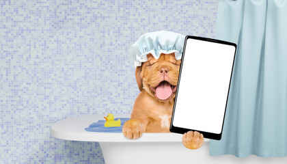 Aufkleber - Happy Mastiff puppy wearing shower cap takes the bath shows big smartphone with white blank screen in it paw. Empty space for text
