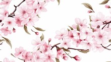 Seamless Watercolor Floral Pattern Sakura On A White Background