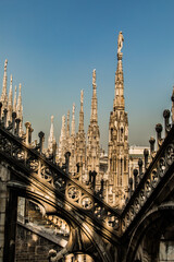 Wall Mural - Roof of Milan Cathedral Duomo di Milano