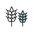Wheat icon with white background vector