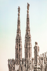 Wall Mural - Roof of Milan Cathedral Duomo di Milano