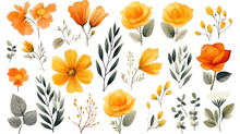 Set Of Watercolor Yellow Flowers Leaves And Twigs On A Transparent Background, Png