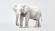 studio shot capturing the strength and beauty of a regal white albino elephant in motion, set against a clean white background, creating a dynamic and visually striking backdrop for presentations