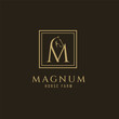 Elegant luxury letter M monogram horse logo, letter M horse logo, horse head logo