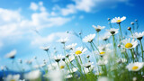 Detail with shallow focus of white anemone flower with yellow stamens and butterfly in nature macro on background of blue sky with beautiful bokeh. Delicate artistic image of beauty of nature