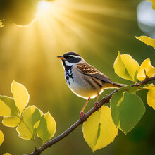 Pájaro Posado En Una Rama De Un árbol Con Hojas Iluminado Por La Luz Del Sol 