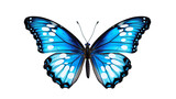 Fototapeta Motyle - butterfly isolated on transparent PNG background, Generative ai