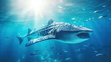  A Whale Shark Swimming In The Ocean With A Lot Of Fish Around It's Neck And It's Mouth Open And It's Mouth Wide Wide Open.  Generative Ai