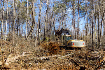 Wall Mural - With help of an excavator worker uproots trees in forest, preparing ground for building house