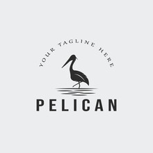 Pelican Bird Logo Vintage Vector Illustration Template Icon Graphic Design