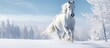 In the snowy winter landscape against a backdrop of white a majestic horse gracefully gallops along the country road showcasing the beauty of nature and the vibrant colors of the farm