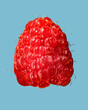 raspberry on a light blue background
