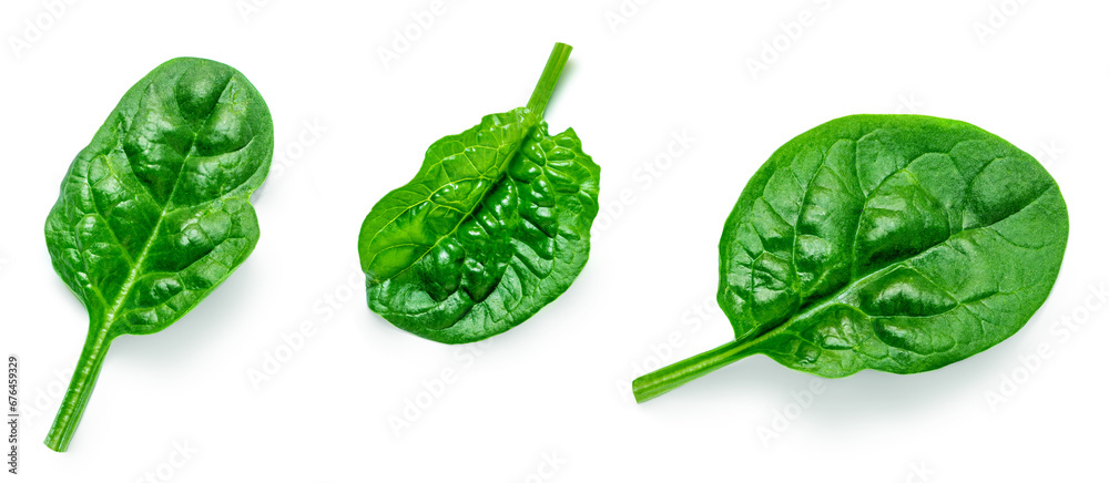 Pile of fresh green baby Spinach leaves isolated on white background ...