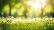 green grass and against the sun with bokeh 