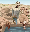 Shepherd giving his thirsty sheep water to drink from an underground cistern. Biblical illustration depicting Psalm 23:2.
