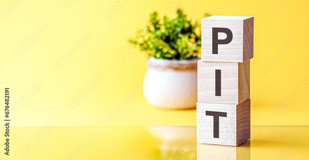 Pit Alphabet letters of the alphabet of PIT on wooden cubes, green plant on a yellow ...