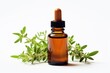 A bottle of essential oil next to a sprig of thyme. Dark glass bottle on white background.