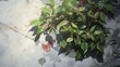 a painting of a vine with red berries